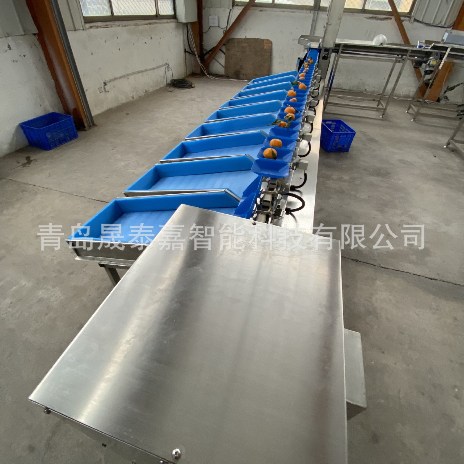 全自动选果机 水果重量分选机 直线滚轮果蔬分级机 源头生产厂家图5