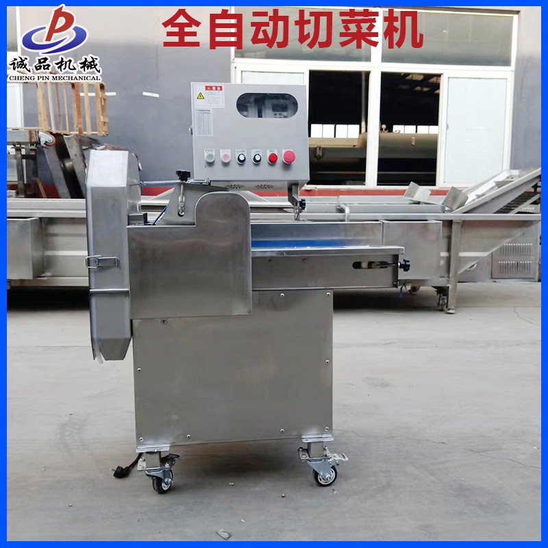 新型多功能土豆切丝机切菜机 商用红薯切丁机 全自动切土豆片图2