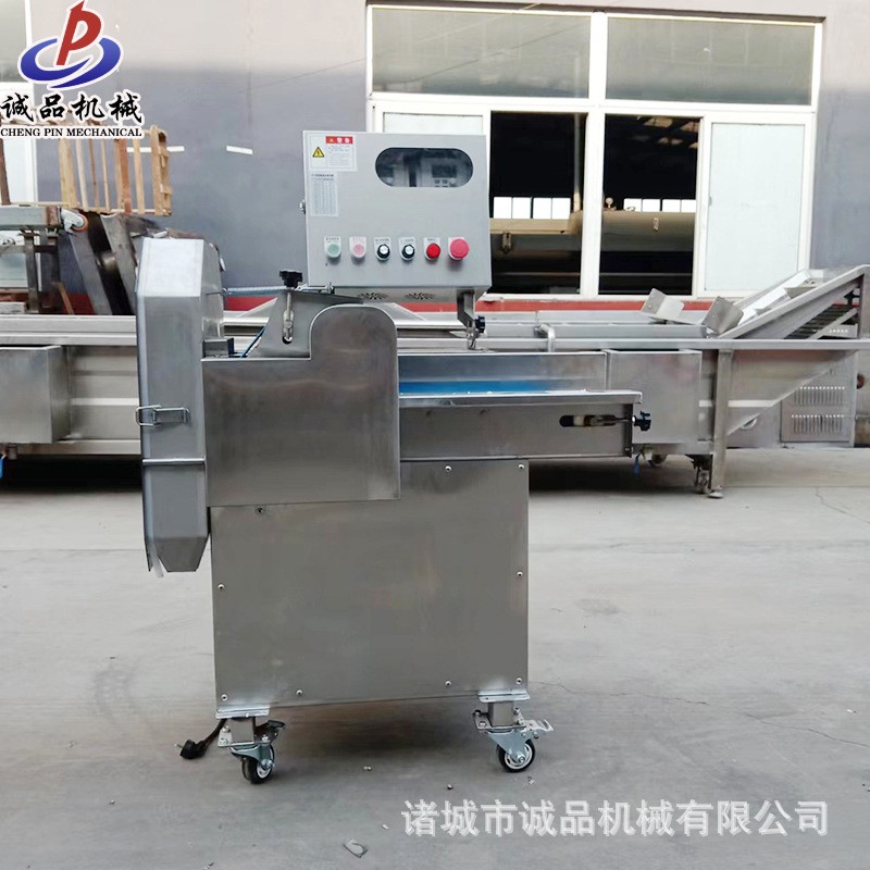 全自动 双头果蔬切菜机 商用土豆切丝机 球根茎叶菜类蔬菜切片机图3