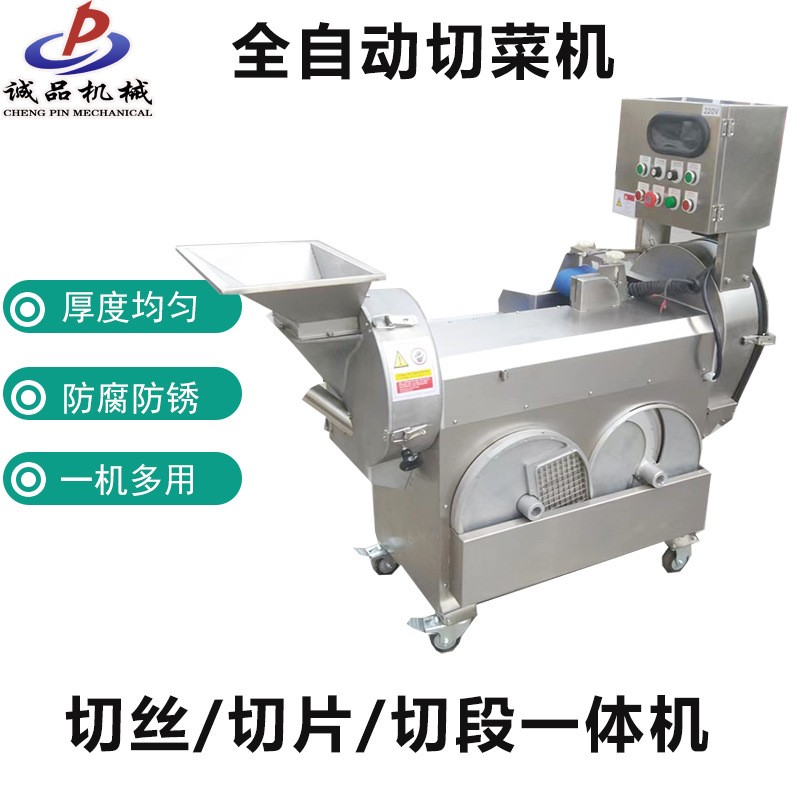 全自动 双头果蔬切菜机 商用土豆切丝机 球根茎叶菜类蔬菜切片机图2