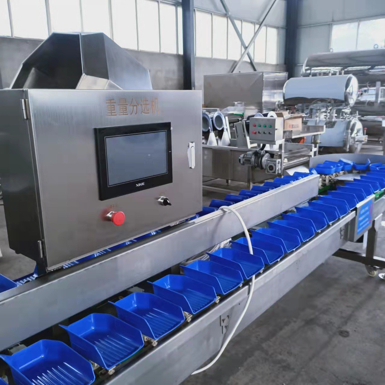 莱阳梨果蔬重量多级分选机 流水线控制 扇贝海蛎子输送等级挑选机图3