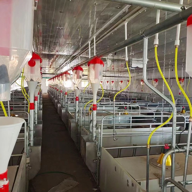 猪料线 喂猪自动下料器猪用自动料线 养猪自动化供料系统设备图2