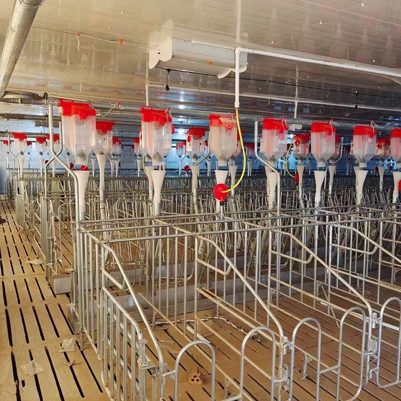 猪料线 喂猪自动下料器猪用自动料线 养猪自动化供料系统设备图3