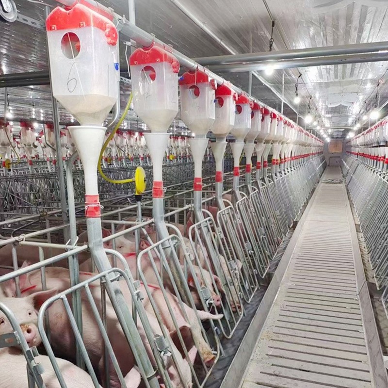 猪料线 喂猪自动下料器猪用自动料线 养猪自动化供料系统设备图5