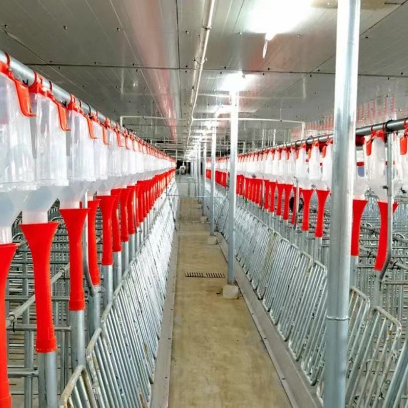 猪料线 喂猪自动下料器猪用自动料线 养猪自动化供料系统设备图4