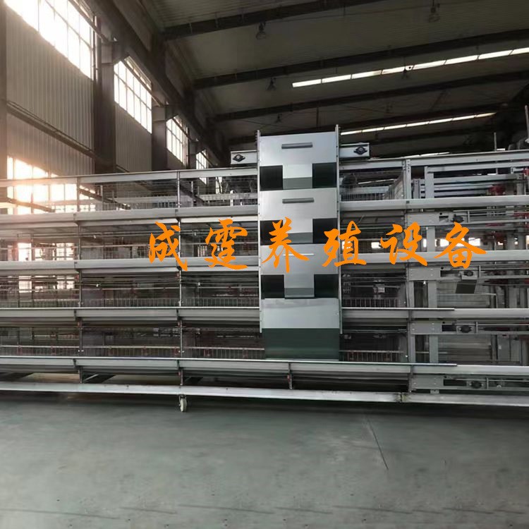厂家供应 笼子类喂料设备 鸡笼架 阶梯式鸡笼架 层叠式鸡笼架图3