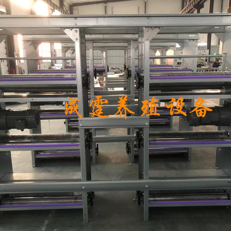 厂家供应 笼子类喂料设备 鸡笼架 阶梯式鸡笼架 层叠式鸡笼架图2