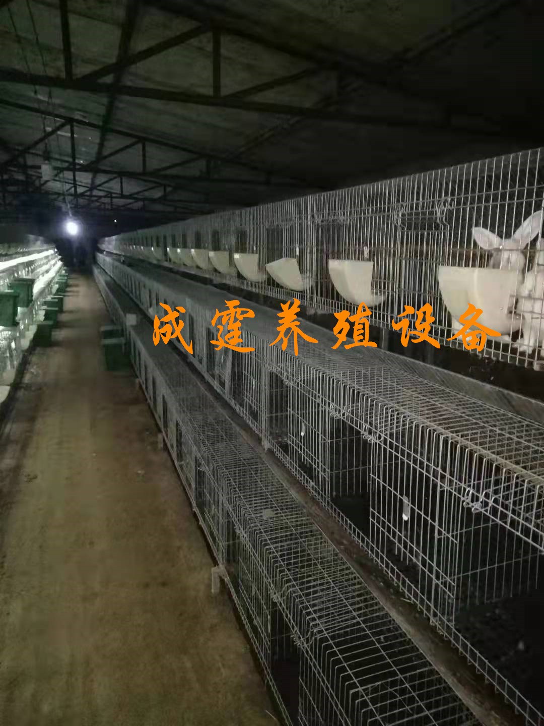 厂家供应 笼子类喂料设备 鸡笼架 阶梯式鸡笼架 层叠式鸡笼架图4