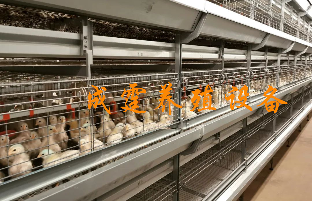 微信图片_20211222163531