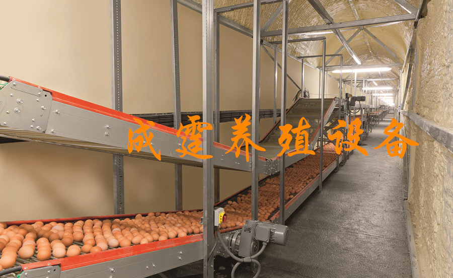 微信图片_2022021114413712