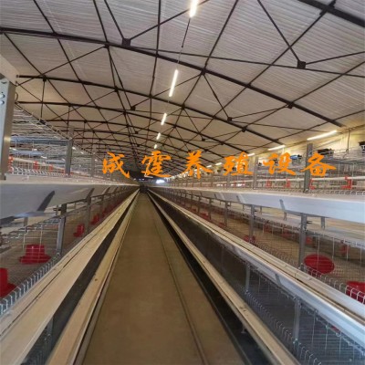 鸡笼兔笼鸽子笼加工定做全自动蛋鸡肉鸡