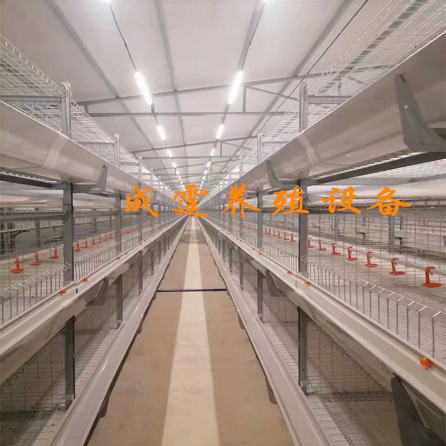 鸡笼兔笼鸽子笼加工定做全自动蛋鸡肉鸡图2