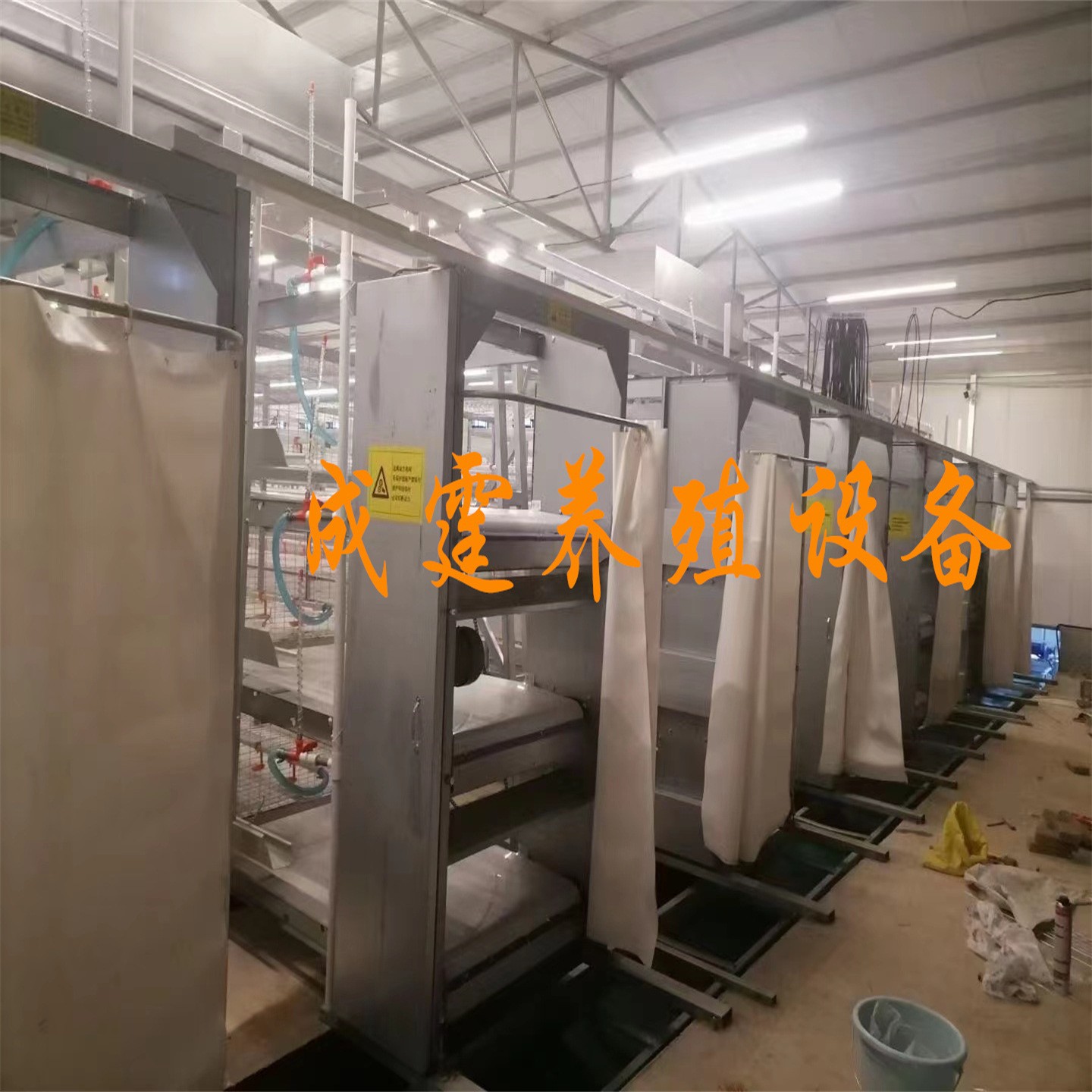 鸡笼兔笼鸽子笼加工定做全自动蛋鸡肉鸡图4