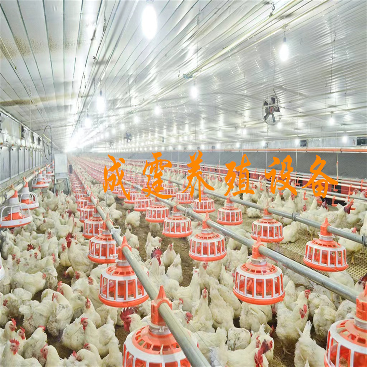 711e352a0b83aa2c9cc50da532a8e5