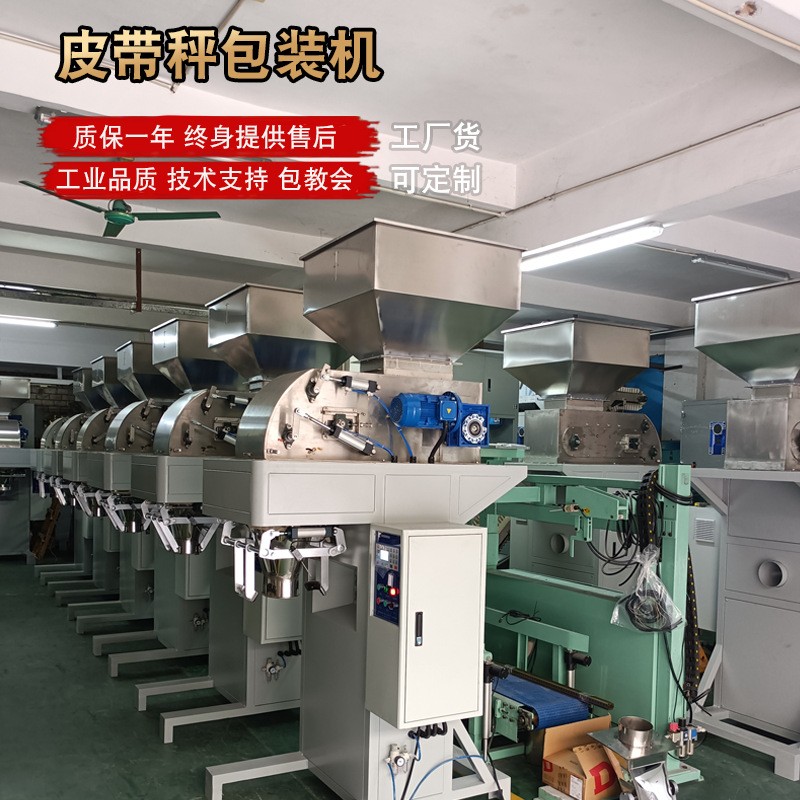 粉末包装机 面粉化工粉料半自动螺杆定量称重粉末包装机 厂家现货图2