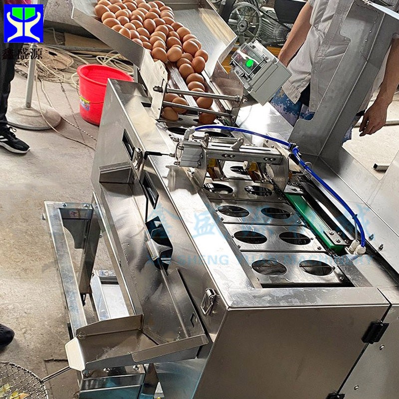 商用食品烘焙打蛋磕蛋机 大型双排连续敲蛋机 推荐蛋清蛋黄分离机图2