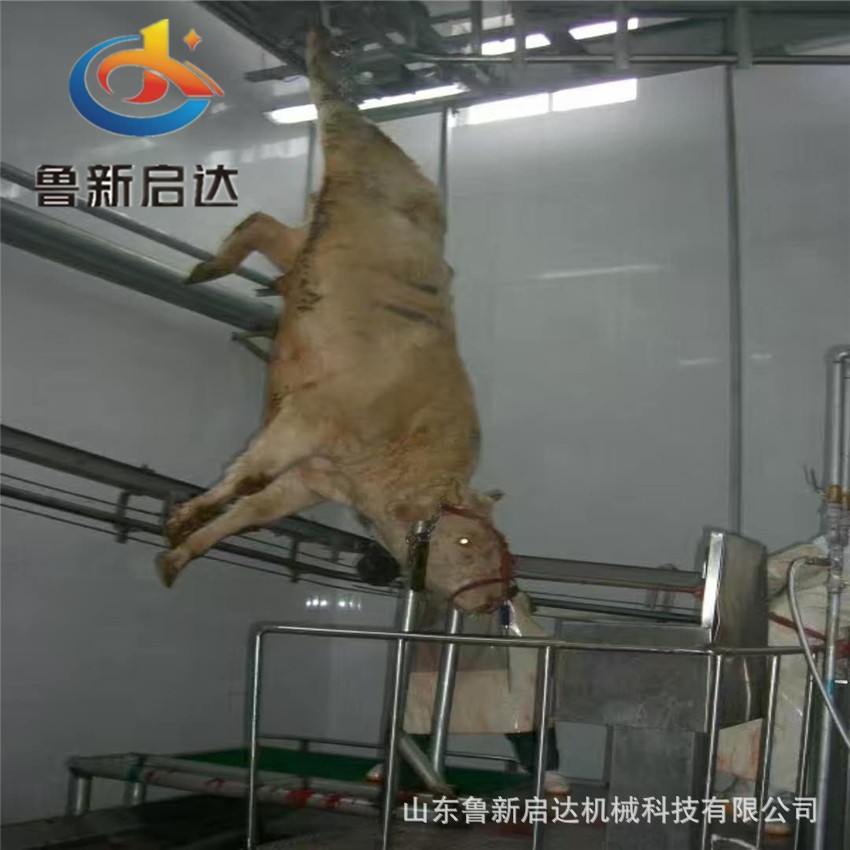 气动单柱升降台 驱动涨紧装置 驱动装置 牛驴骡子屠宰线图4