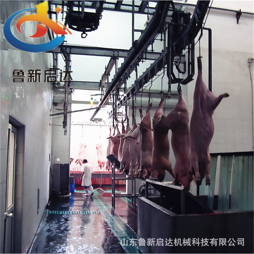 厂家供应牛羊屠宰设备 自动提升机 全自动生猪放血输送线图2