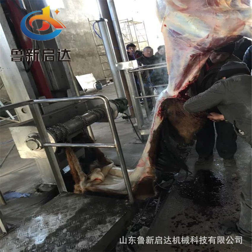 毛驴屠宰设备,毛驴宰杀设备,宰毛驴设备,杀毛驴设备图3