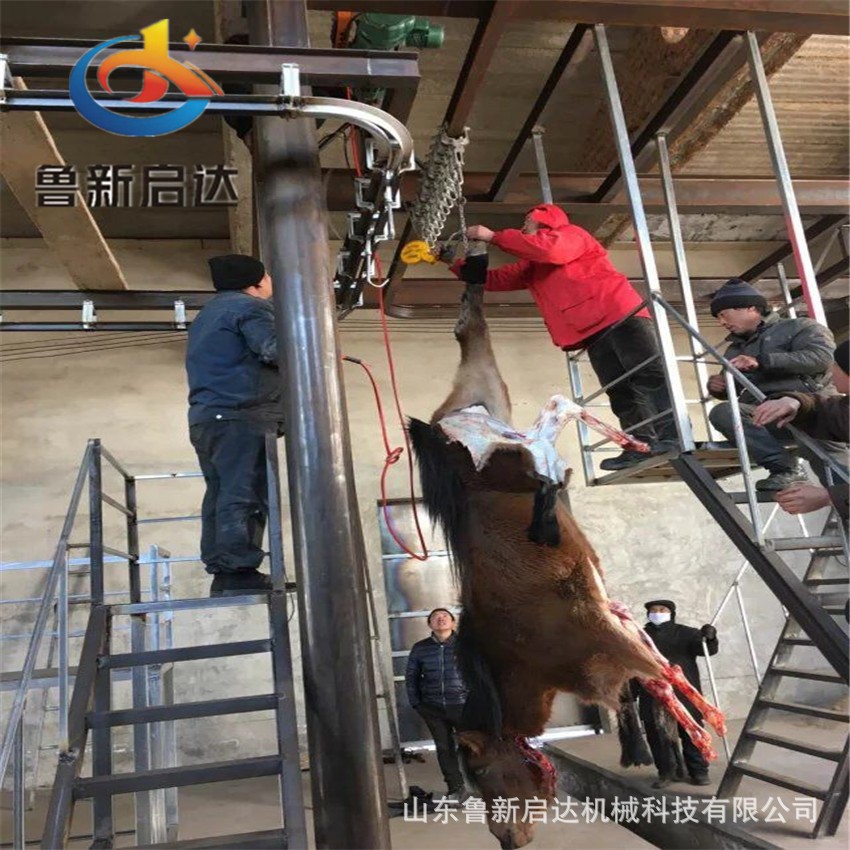 毛驴屠宰设备,毛驴宰杀设备,宰毛驴设备,杀毛驴设备图2
