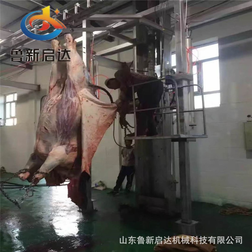 毛驴屠宰设备,毛驴宰杀设备,宰毛驴设备,杀毛驴设备图4