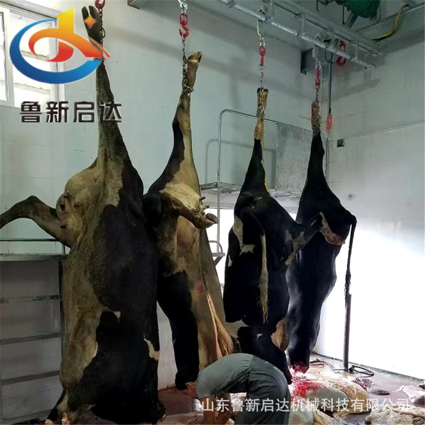 家畜屠宰设备,猪牛羊肉牛牦牛水牛黄牛屠宰宰杀机械设备线图2