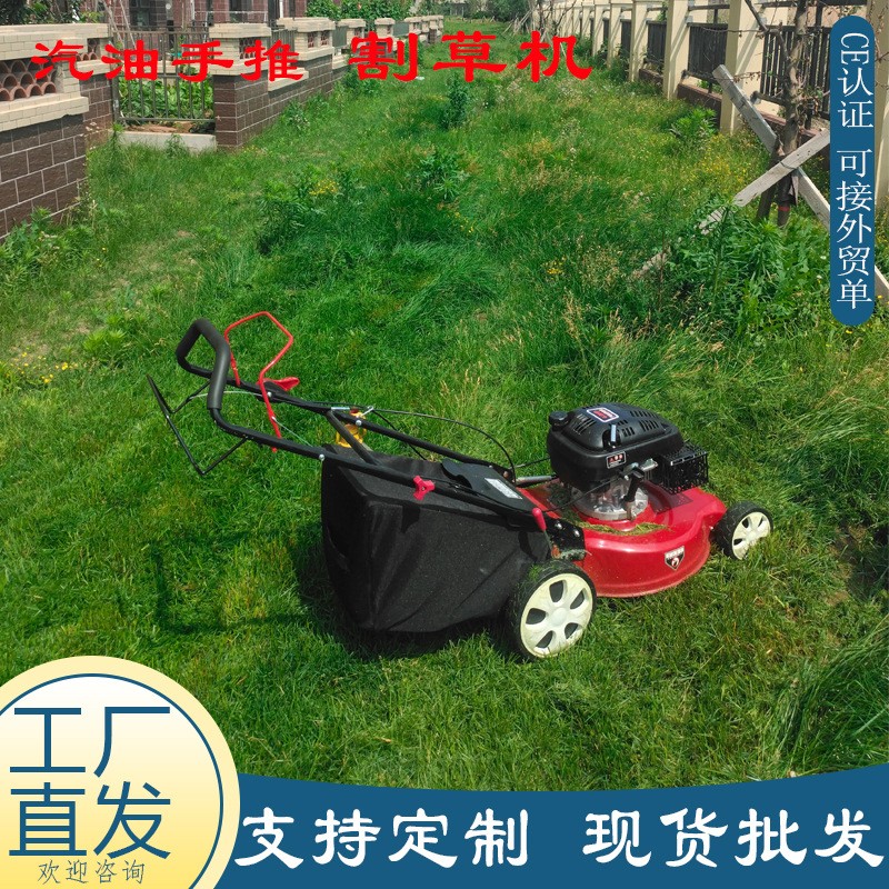 现货汽油草坪机 小区绿化草坪修剪机 四冲程手推自走剪草割草机图4
