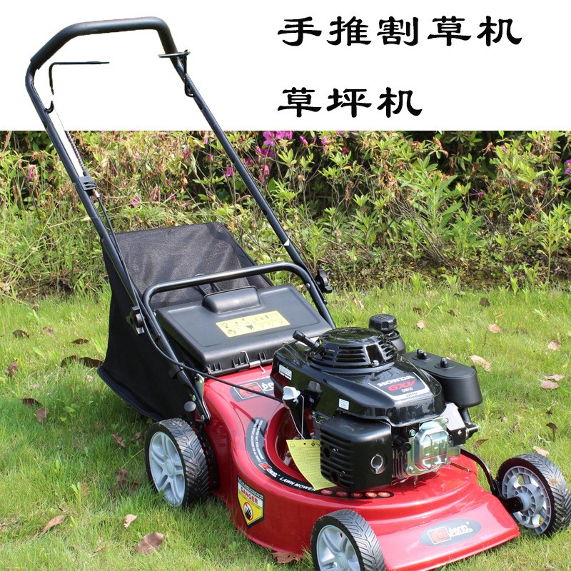 现货汽油草坪机 小区绿化草坪修剪机 四冲程手推自走剪草割草机图2
