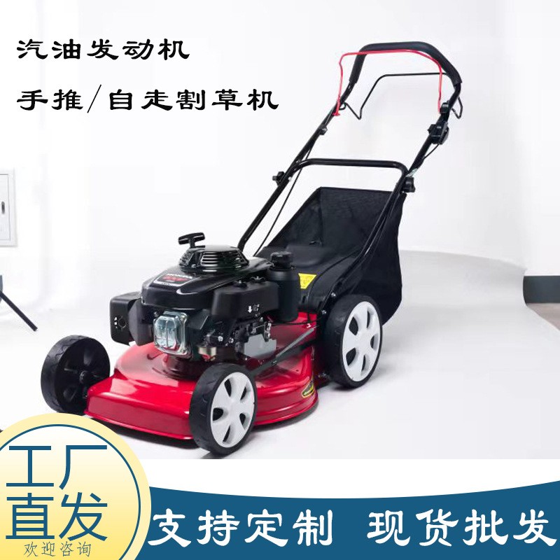 现货汽油草坪机 小区绿化草坪修剪机 四冲程手推自走剪草割草机图1