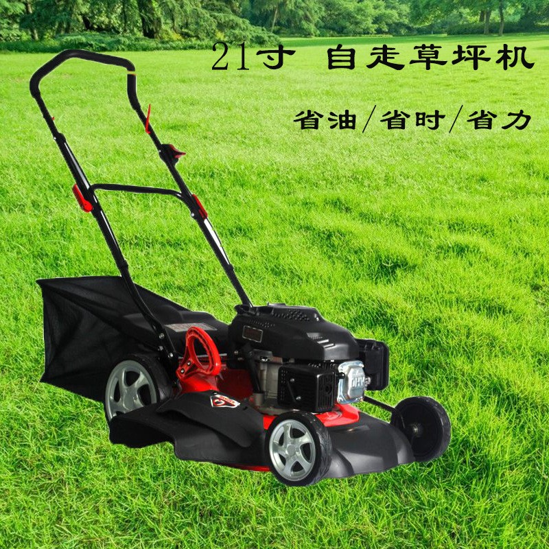 厂家直供自走手推割草机 汽油四冲程杂草修剪机 家用汽油草坪机图4