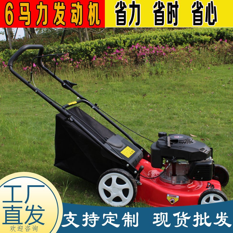 厂家直供自走手推割草机 汽油四冲程杂草修剪机 家用汽油草坪机图3