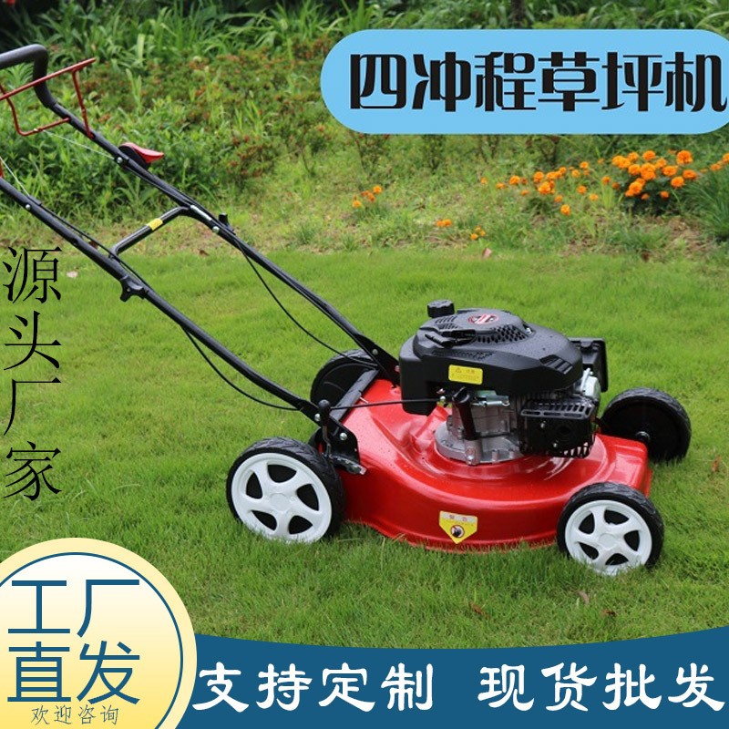 出口欧美自走手推剪草机 公园绿化四冲程割草机 带收草汽油草坪机图4