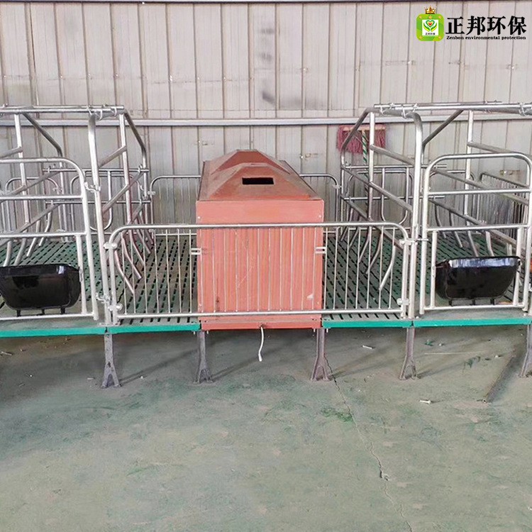 现货供应全复合母猪产床双体母猪产床定位栏全复合母猪分娩床图3