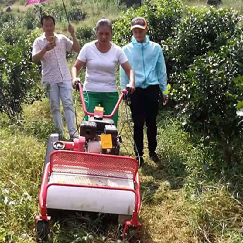 三禾农用果园碎草机除草机自走式杂草开荒粉碎机手推式割草机图5