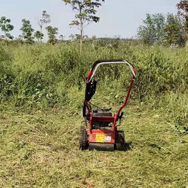 三禾自走式割草机农用收割除草手推式家用汽油开荒园林果园草坪机图3