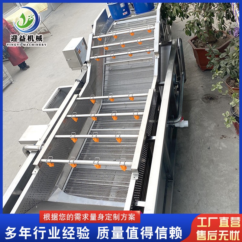 山野菜去农残气泡清洗机 多功能果蔬清洗机 商用不锈钢喷淋清洗机图5