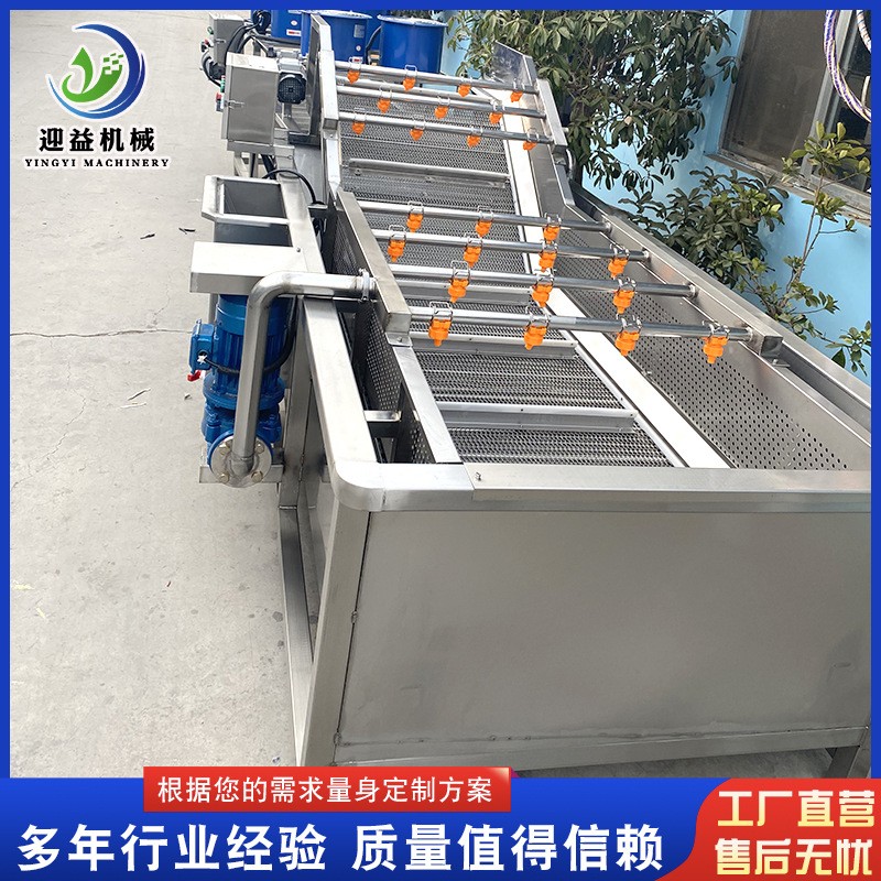 山野菜去农残气泡清洗机 多功能果蔬清洗机 商用不锈钢喷淋清洗机图2