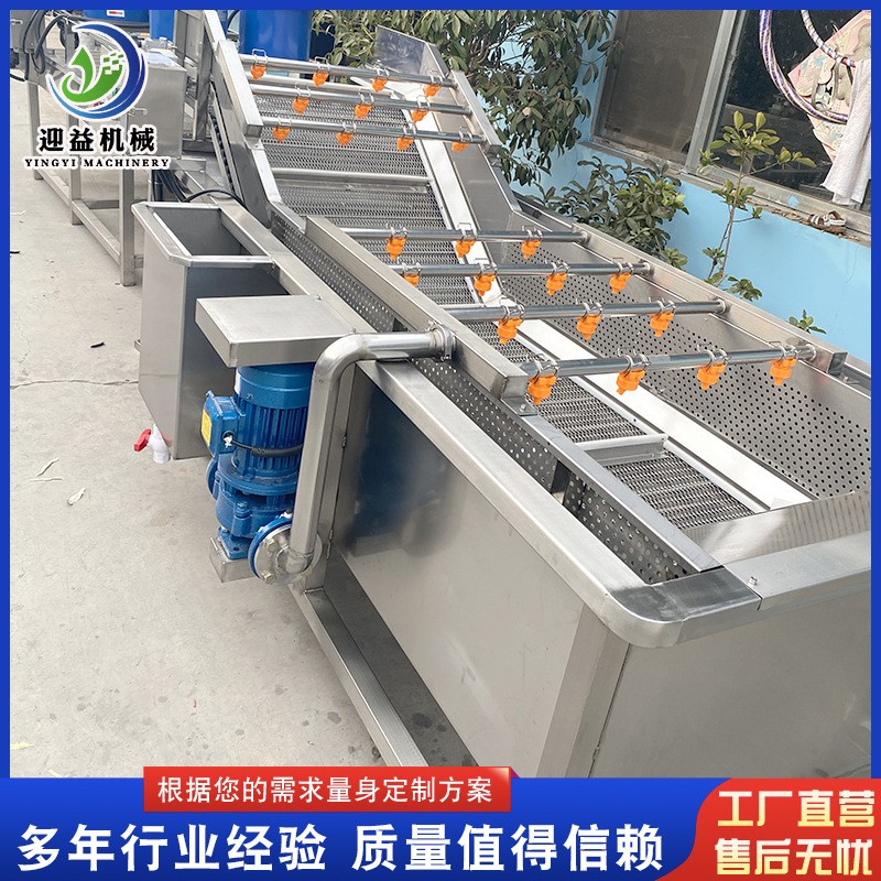 山野菜去农残气泡清洗机 多功能果蔬清洗机 商用不锈钢喷淋清洗机图3