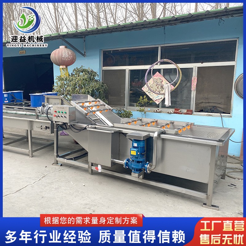 山野菜去农残气泡清洗机 多功能果蔬清洗机 商用不锈钢喷淋清洗机