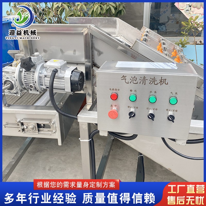 生菜茄子气泡清洗机 辣椒大枣气泡清洗机 鲜蒜芹菜韭菜清洗设备图4