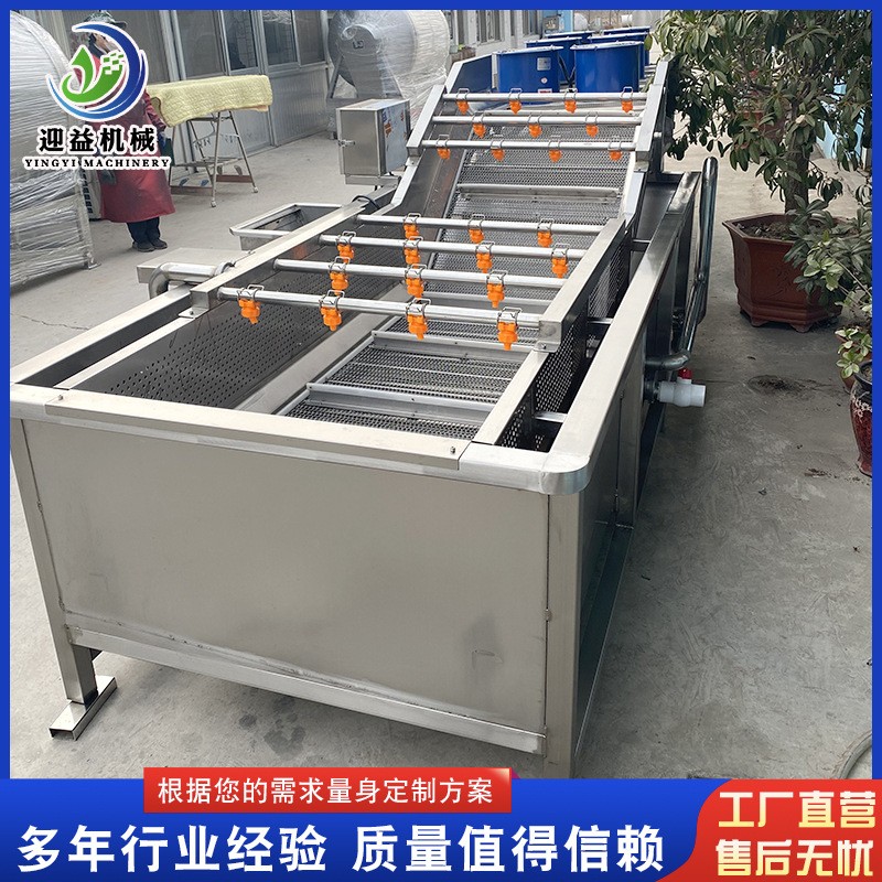 多功能鲜花椒清洗设备 预制菜气泡清洗机 柠檬果蔬清洗机设备