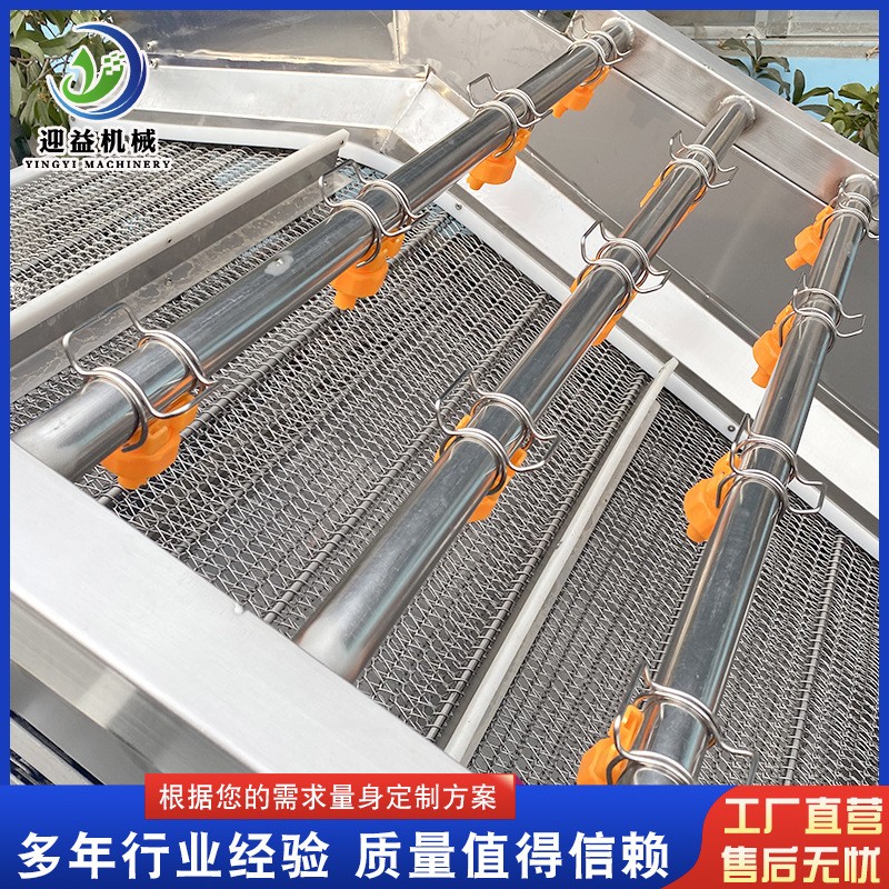 多功能鲜花椒清洗设备 预制菜气泡清洗机 柠檬果蔬清洗机设备图3