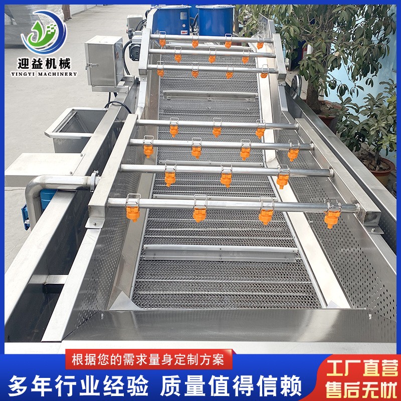 多功能鲜花椒清洗设备 预制菜气泡清洗机 柠檬果蔬清洗机设备图2