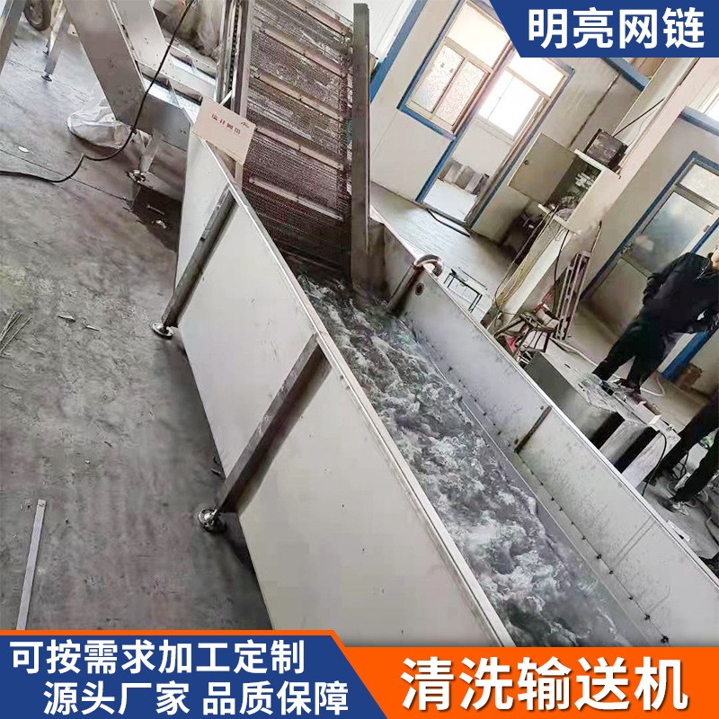 商用大型全自动果蔬清洗流水线 去农残蔬菜气泡消毒机 果蔬清洗机图4