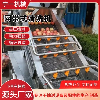 全自动气泡清洗机多功能果蔬喷淋式洗菜机不锈钢网带式果蔬清洗机