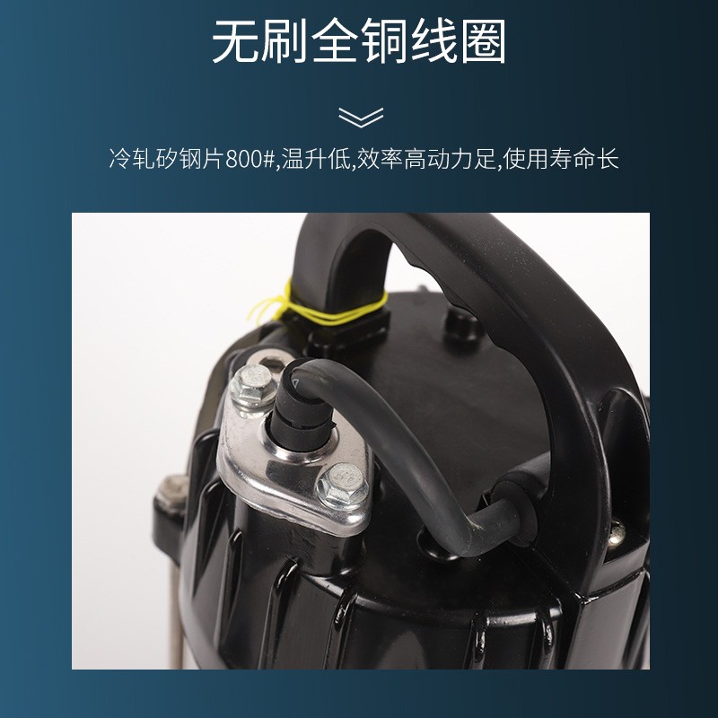 电动车不锈钢直流潜水泵大流量高扬程灌溉泵电瓶车抽水泵抽水机图3