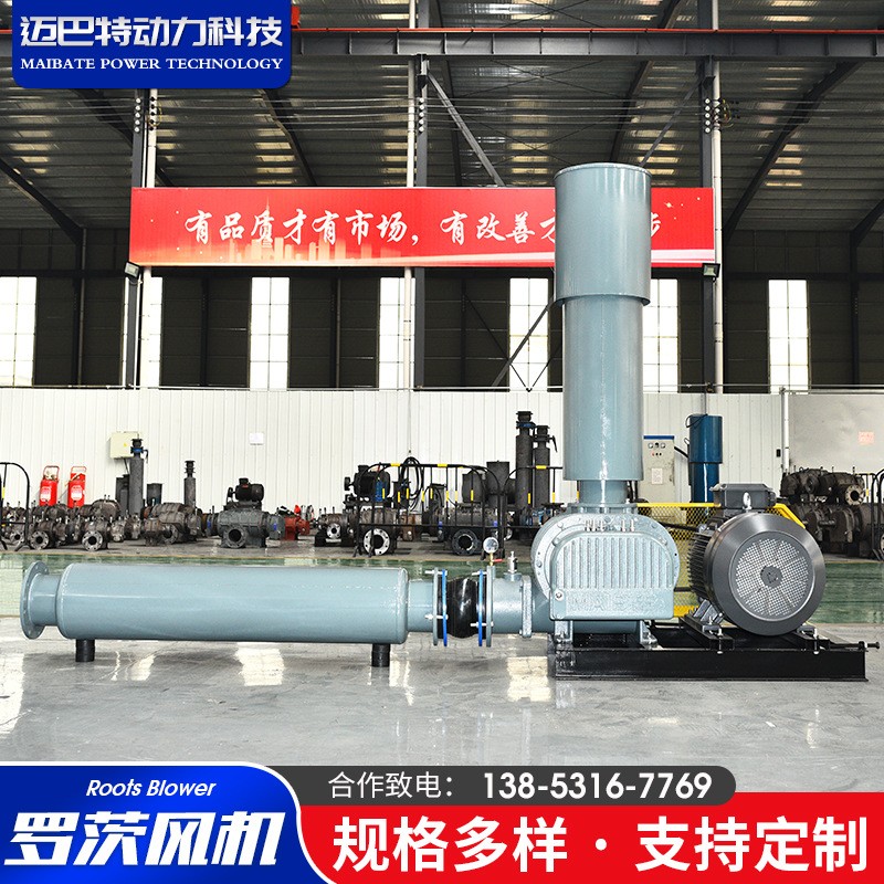 WHSR罗茨风机 厂家供应大流量高效鱼塘增氧用污水曝气罗茨风机图2