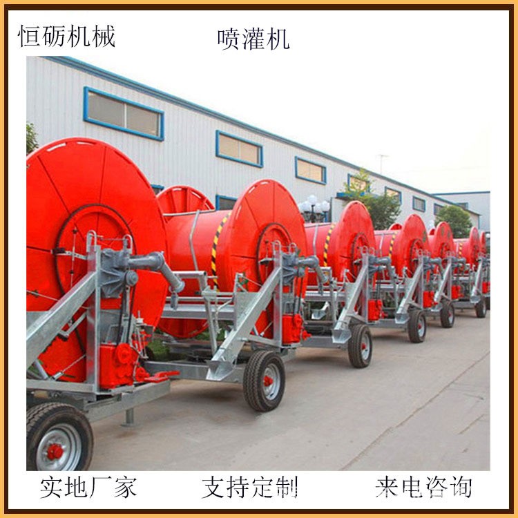 大型自动卷盘喷灌机 玉米小麦大狗灌溉机 可带行架省时省力恒砺图3