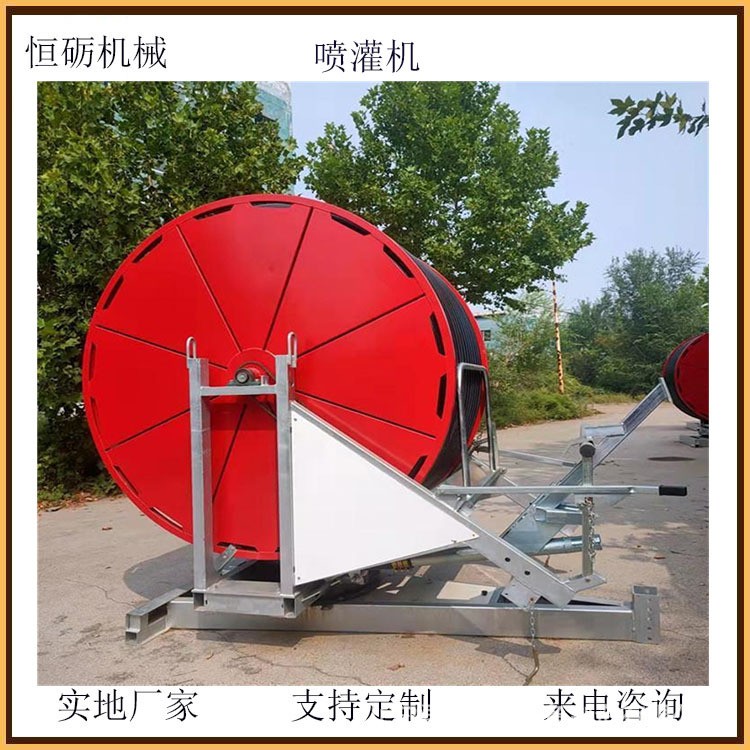 大型自动卷盘喷灌机 玉米小麦大狗灌溉机 可带行架省时省力恒砺图4