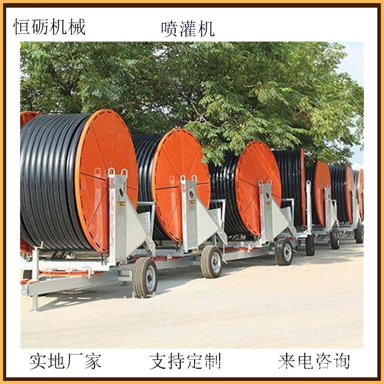 大型自动卷盘喷灌机 玉米小麦大狗灌溉机 可带行架省时省力恒砺图5